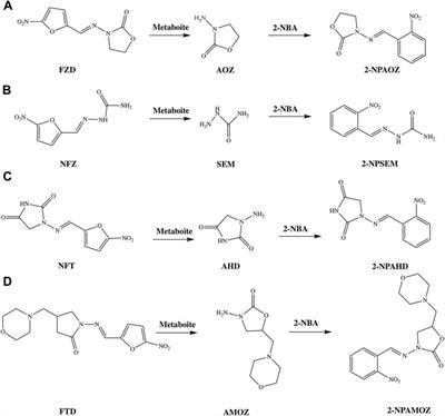 Immunosensor of Nitrofuran Antibiotics and Their Metabolites in Animal-Derived Foods: A Review